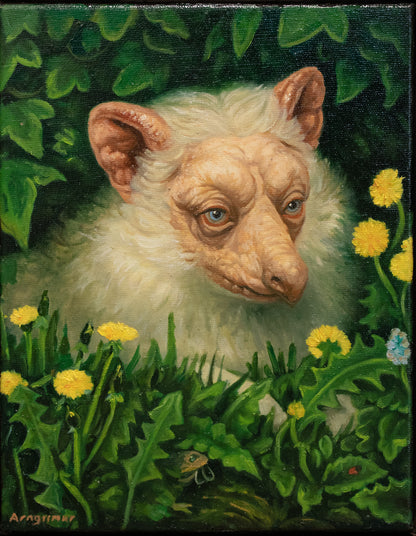 Boði - Stúdía